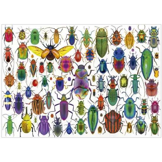 PUZZLE 500 PIEZAS ESCARABAJOS image 2
