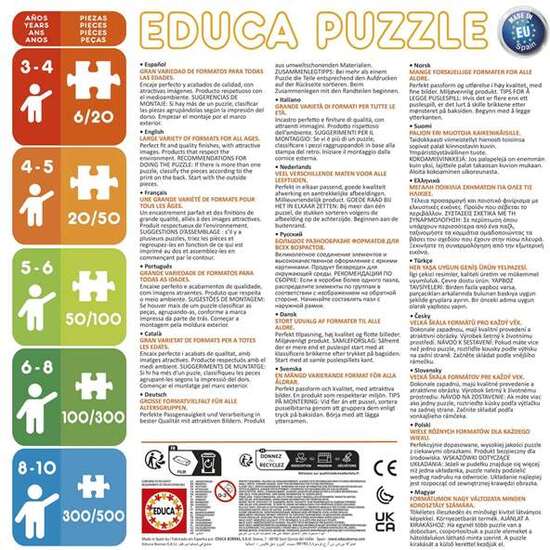 PUZZLE PUZZLES PROGRESIVOS ARIEL 12+16+20+25  PIEZAS image 3