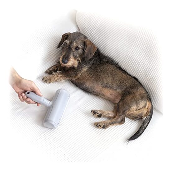 RODILLO QUITAPELOS DE MASCOTAS RELLAIR INNOVAGOOD image 2