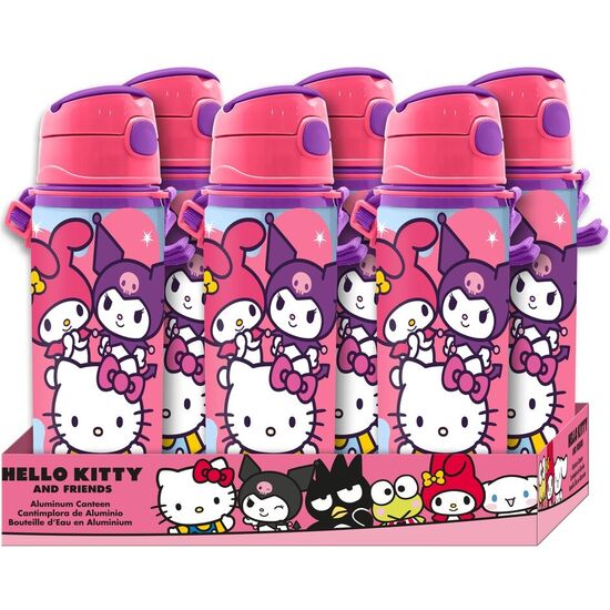 CANTIMPLORA ALUMINIO HELLO KITTY AND FRIENDS 600ML image 0