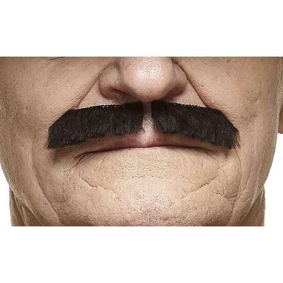 BIGOTE image 1