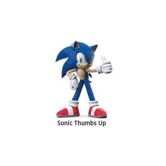 FIGURA SONIC OK image 0