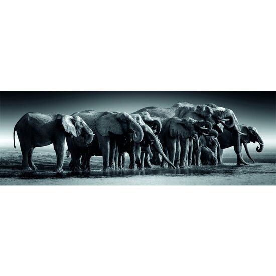PUZZLE PANORAMA HERD OF GIANTS HIGH QUALITY 1000PZS image 0