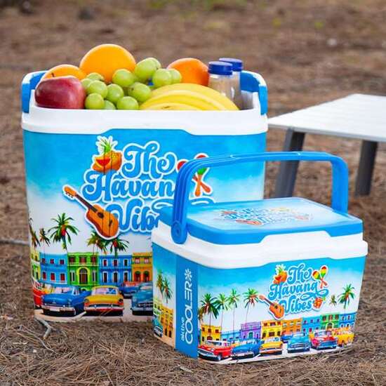 NEVERA RIGIDA PLASTICO SUMMER TRENDS 24 LITROS image 1