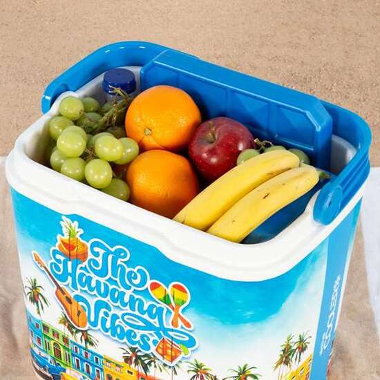 NEVERA RIGIDA PLASTICO SUMMER TRENDS 24 LITROS image 5