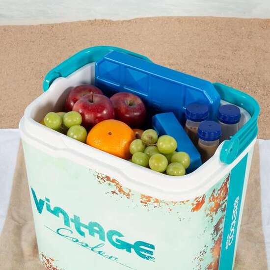 NEVERA RIGIDA CLASSIC PLASTICO 24 LITOROS image 5