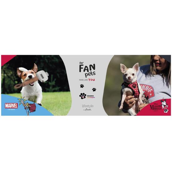 PROMOCIONES GRÁFICA MASCOTAS image 0