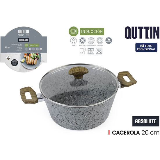 CACEROLA 20 C/T ALU.FORG.M/ST ABSOL QUTTIN image 0