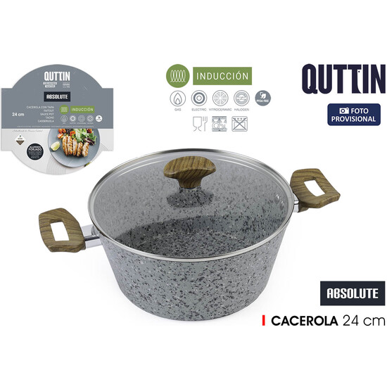 CACEROLA 24 C/T ALU.FORG.M/ST ABSOL QUTTIN image 0