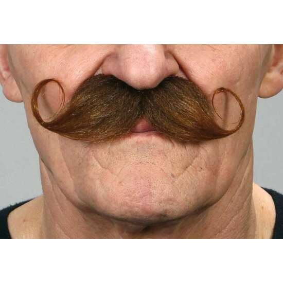 BIGOTE ÚNICA image 0