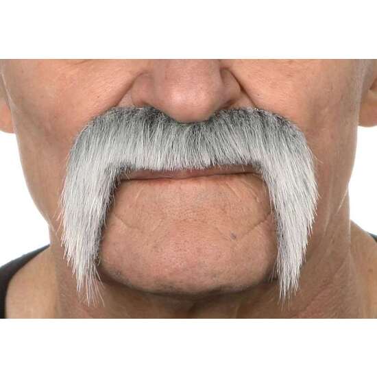 BIGOTE ÚNICA image 0