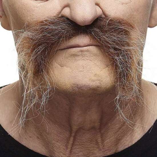 BIGOTE ÚNICA image 0