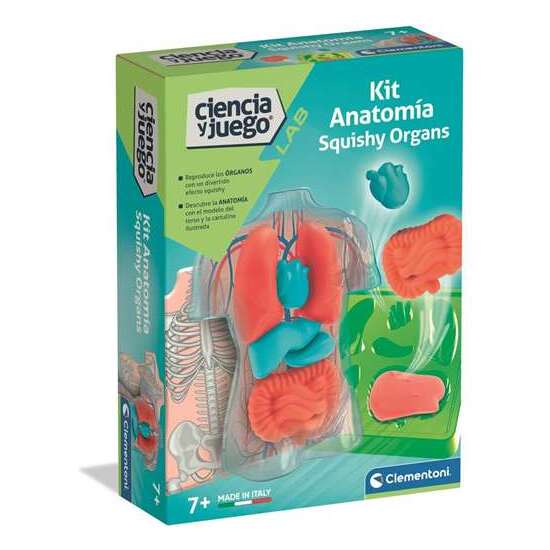 JUEGO ANATOMÍA SQUISHY Y ORGANOS. 21X15X5,5 CM image 0