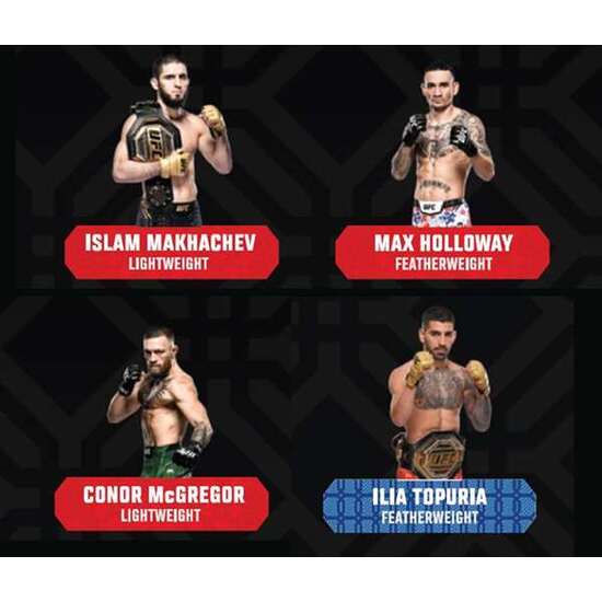 FIGURA UFC COLECCIONABLE 6 CM image 1