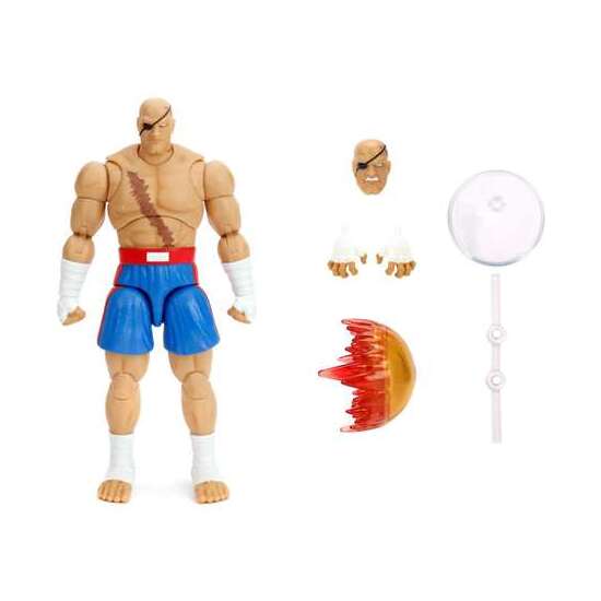 FIGURA STREET FIGHTER II SAGAT 15 CM image 2