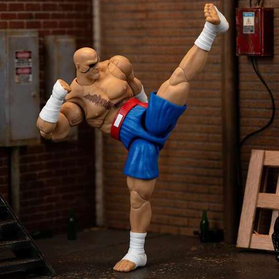 FIGURA STREET FIGHTER II SAGAT 15 CM image 3