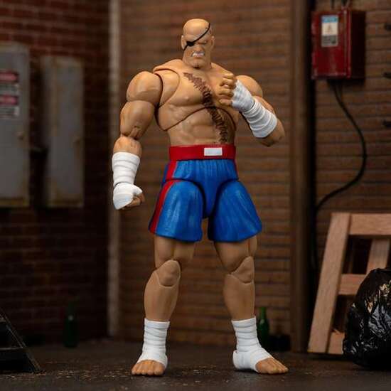 FIGURA STREET FIGHTER II SAGAT 15 CM image 4