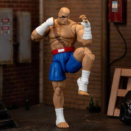 FIGURA STREET FIGHTER II SAGAT 15 CM image 5