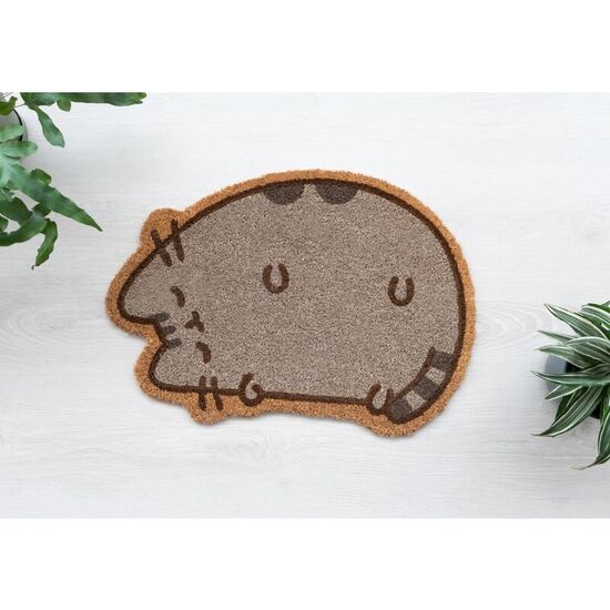 FELPUDO THE CAT PUSHEEN image 3