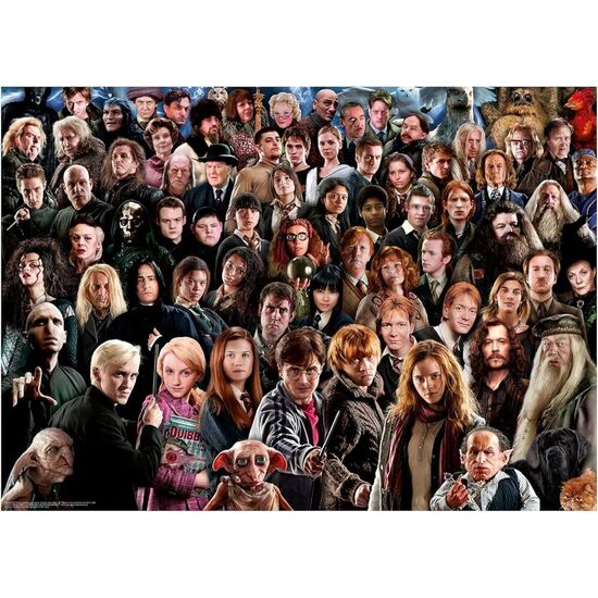 PUZZLE HARRY POTTER 1000PZS image 0