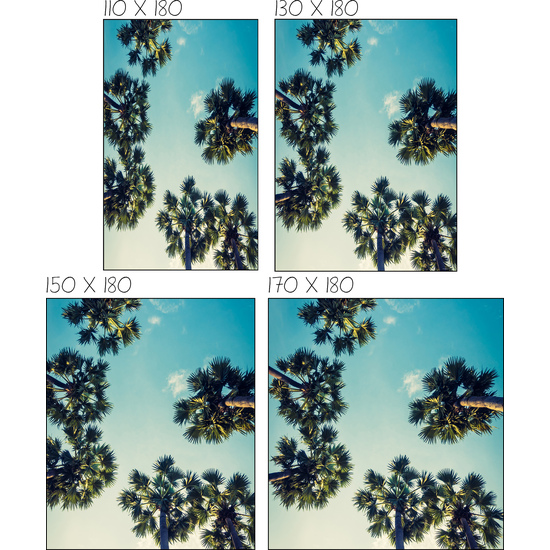 ESTOR ENROLLABLE AMZ ESTOR DIGITAL-25 28MM image 2