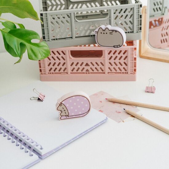 BLISTER 2 GOMAS BORRAR PUSHEEN image 3