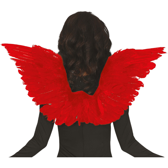 ALAS DE PLUMAS, 70X40 CM, ROJAS image 0