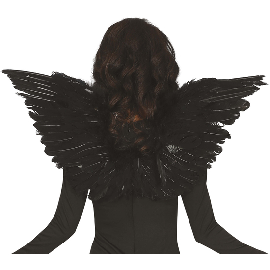 ALAS DE PLUMAS, 70X40 CMS, NEGRAS image 0