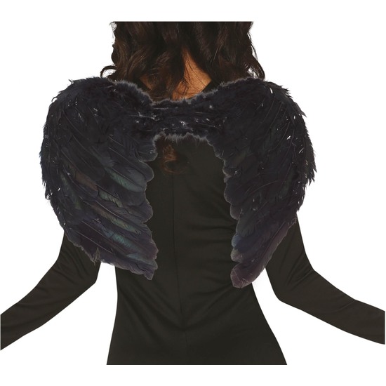 ALAS PLUMAS NEGRAS 60X40 CMS. image 0