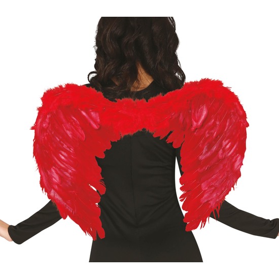 ALAS PLUMAS ROJAS 60X40 CMS. image 0