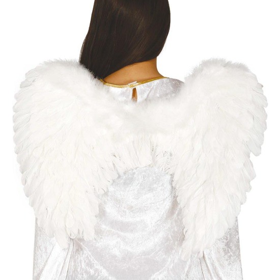 ALAS ANGEL PLUMAS 60X40 CM image 0