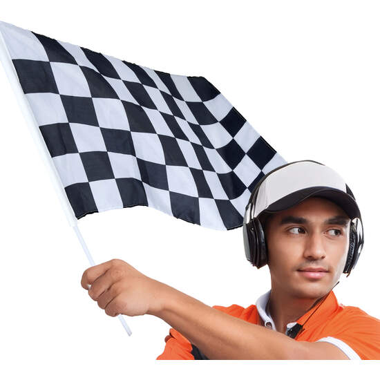 BANDERA CUADROS 45X30 CMS image 0