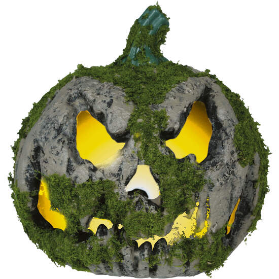 CALABAZA CON MUSGO LUZ 20 CMS image 0