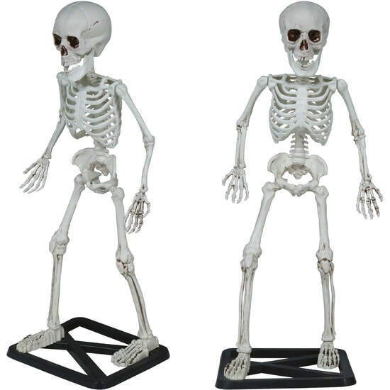 ESQUELETO DE PIE 55 CMS image 0