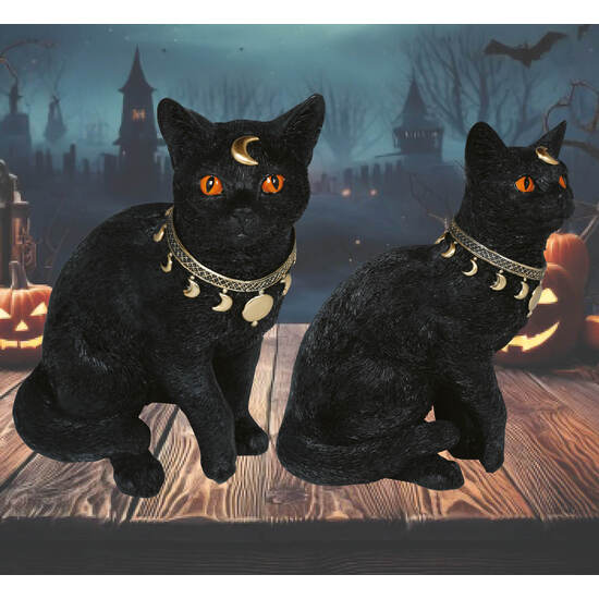 GATO NEGRO RESINA 28X23 CMS image 0