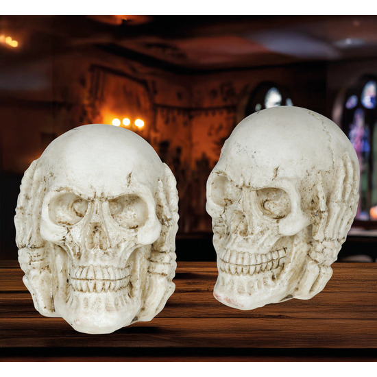 CALAVERA RESINA 6 CMS image 0