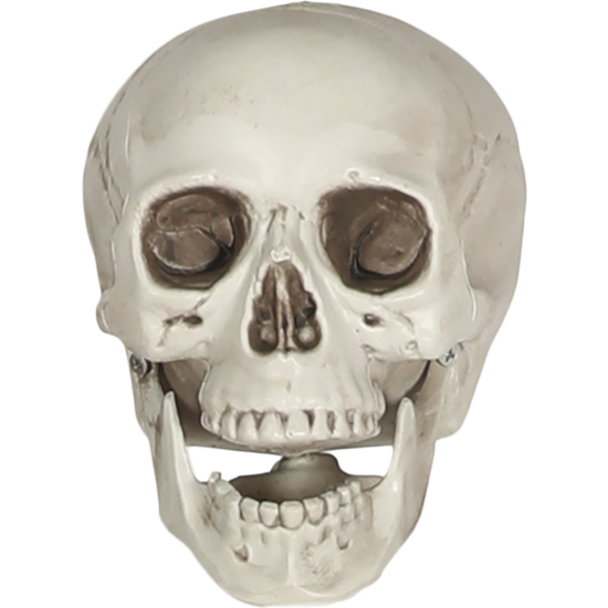 CALAVERA PVC 20 CMS image 0