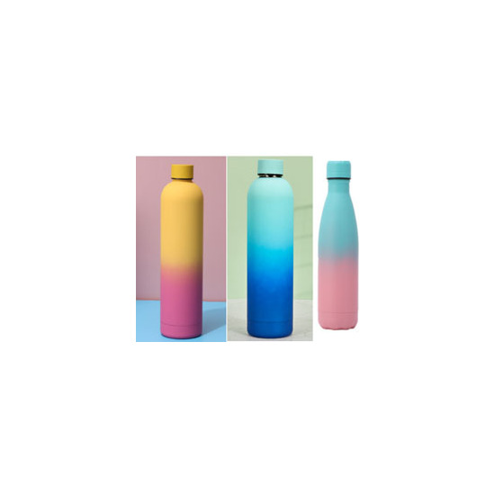 BOTELLA TERMO ACERO BICOLOR 500ML THERMOSPORT image 0