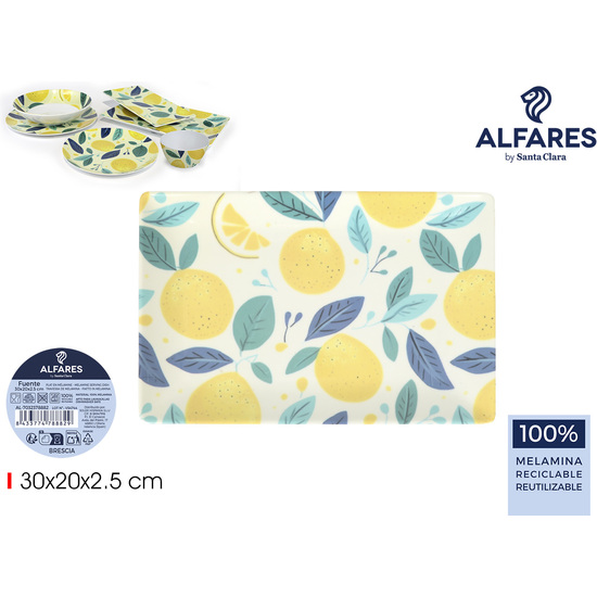 FUENTE 30X20X2.5 BRESCIA MELAMI ALFARES image 0