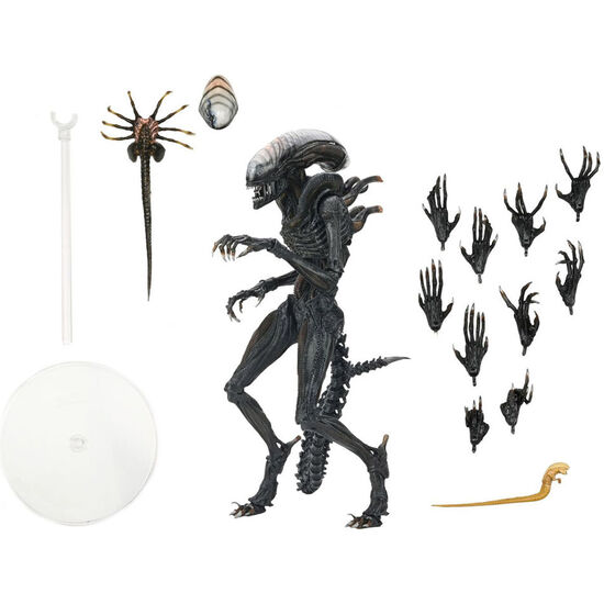 FIGURA ULTIMATE SCORCHED XNOMORPH ALIEN ROMULUS 23CM image 1