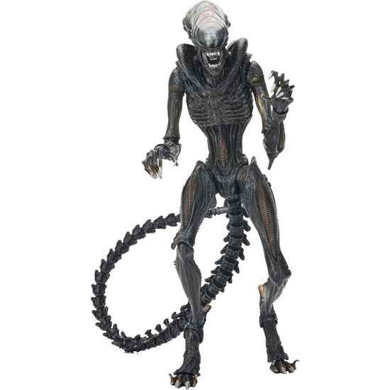 FIGURA ULTIMATE SCORCHED XNOMORPH ALIEN ROMULUS 23CM image 2