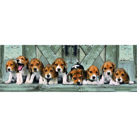 PUZZLE PANORAMA BEAGLES HIGH QUALITY 1000PZS image 0