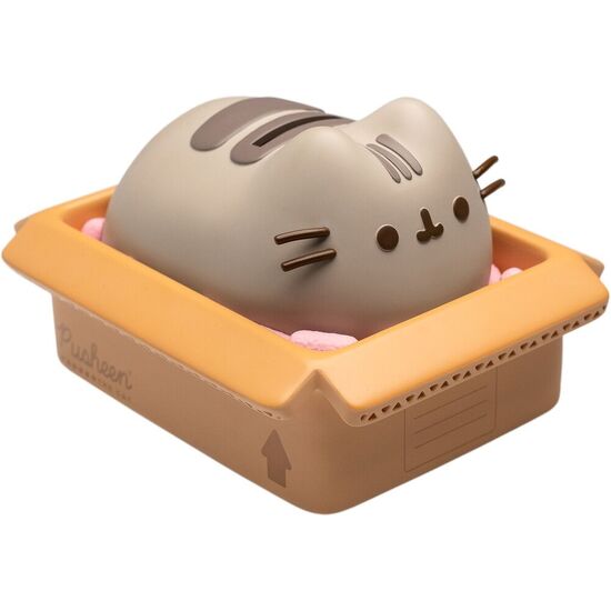 HUCHA PUSHEEN image 0