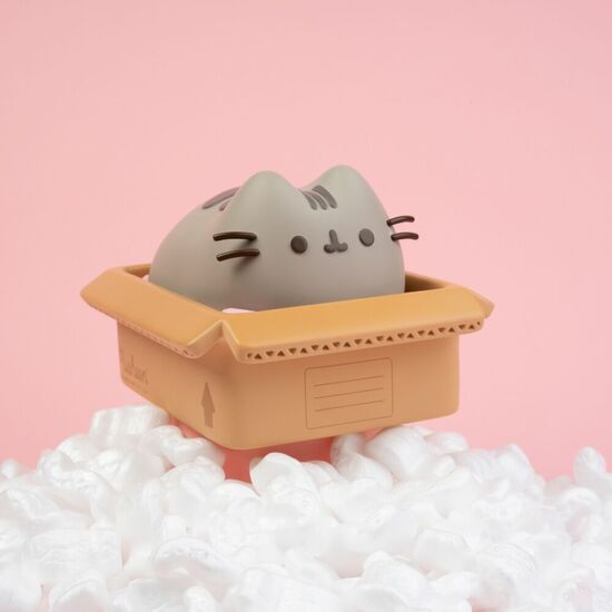 HUCHA PUSHEEN image 2