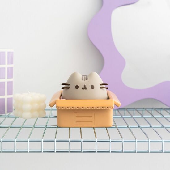 HUCHA PUSHEEN image 3