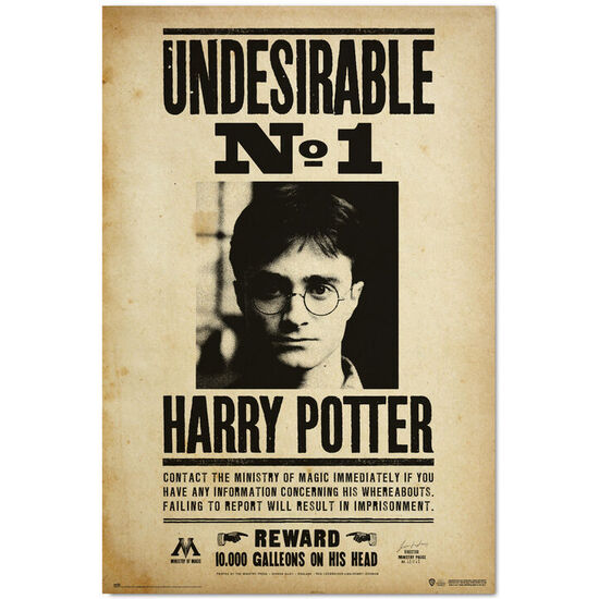 POSTER INDESEABLE NUMERO 1 HARRY POTTER image 0