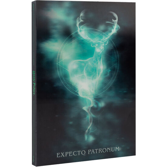 CUADERNO A5 LENTICULAR HARRY POTTER image 0