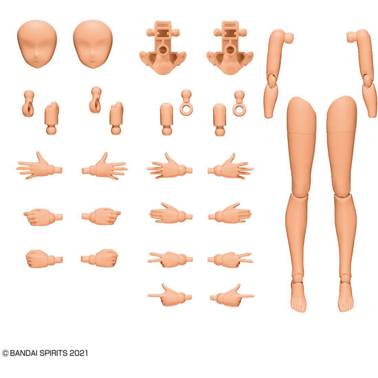 SET PARTES CUERPO BRAZOS Y PIERNAS 30MS COLOR C image 1