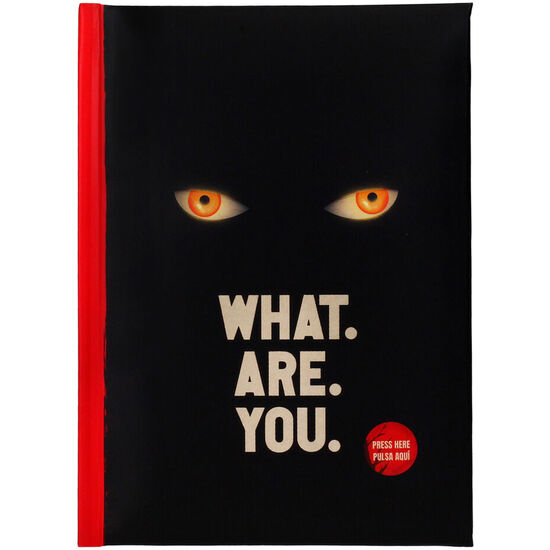 CUADERNO WHAT ARE YOU IT BIENVENIDOS A DERRY image 0