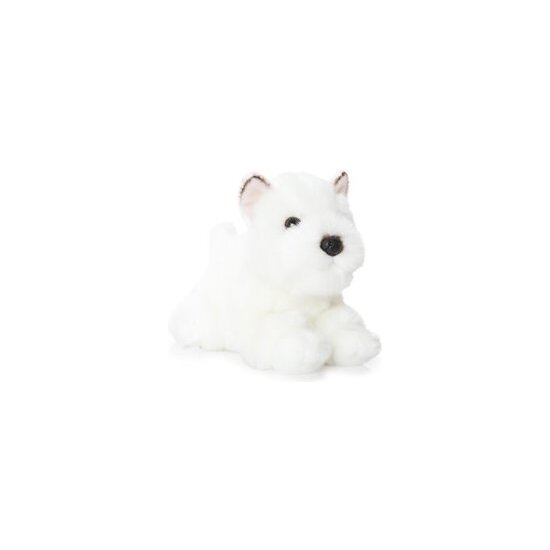 PERRO WESTIE BLANCO image 0